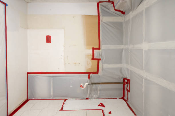 Best Basement Mold Removal  in Whitney, SC