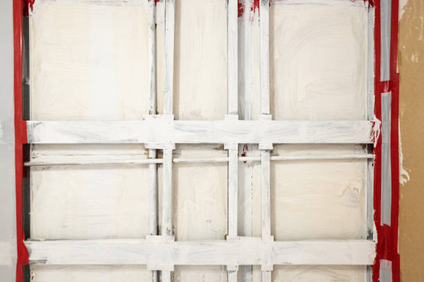 Biohazard Mold Removal in Whitney, SC