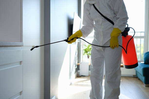 Mold Odor Removal Services in Whitney, SC